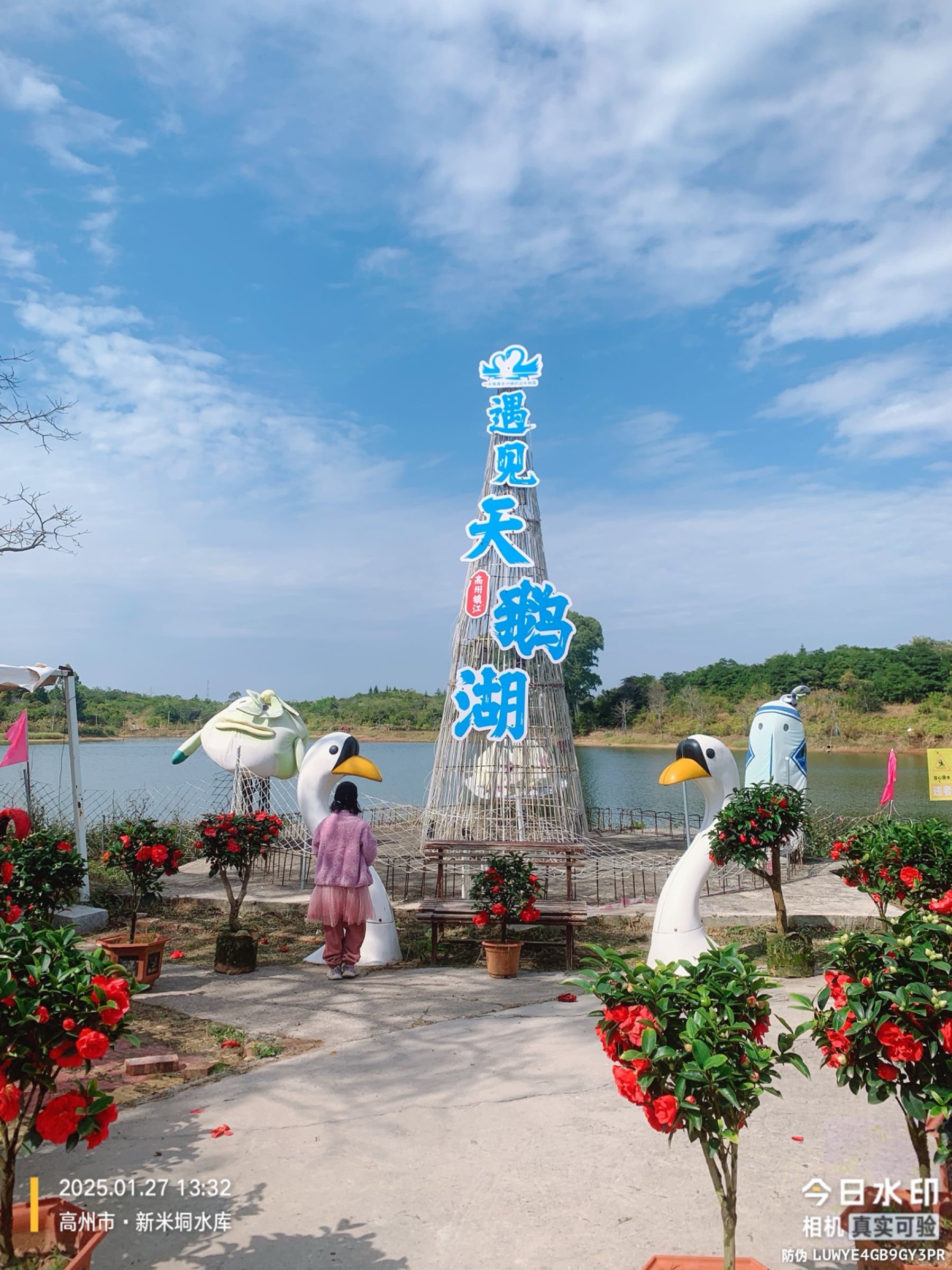 建国生态天鹅湖旅游区