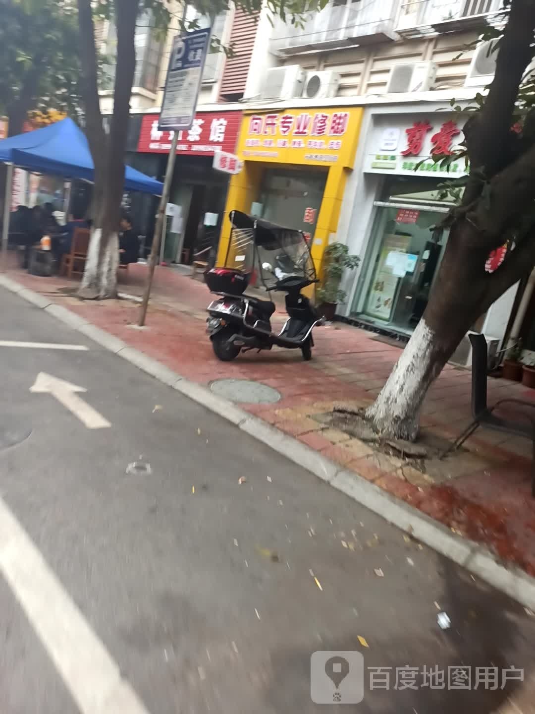 向氏专业修