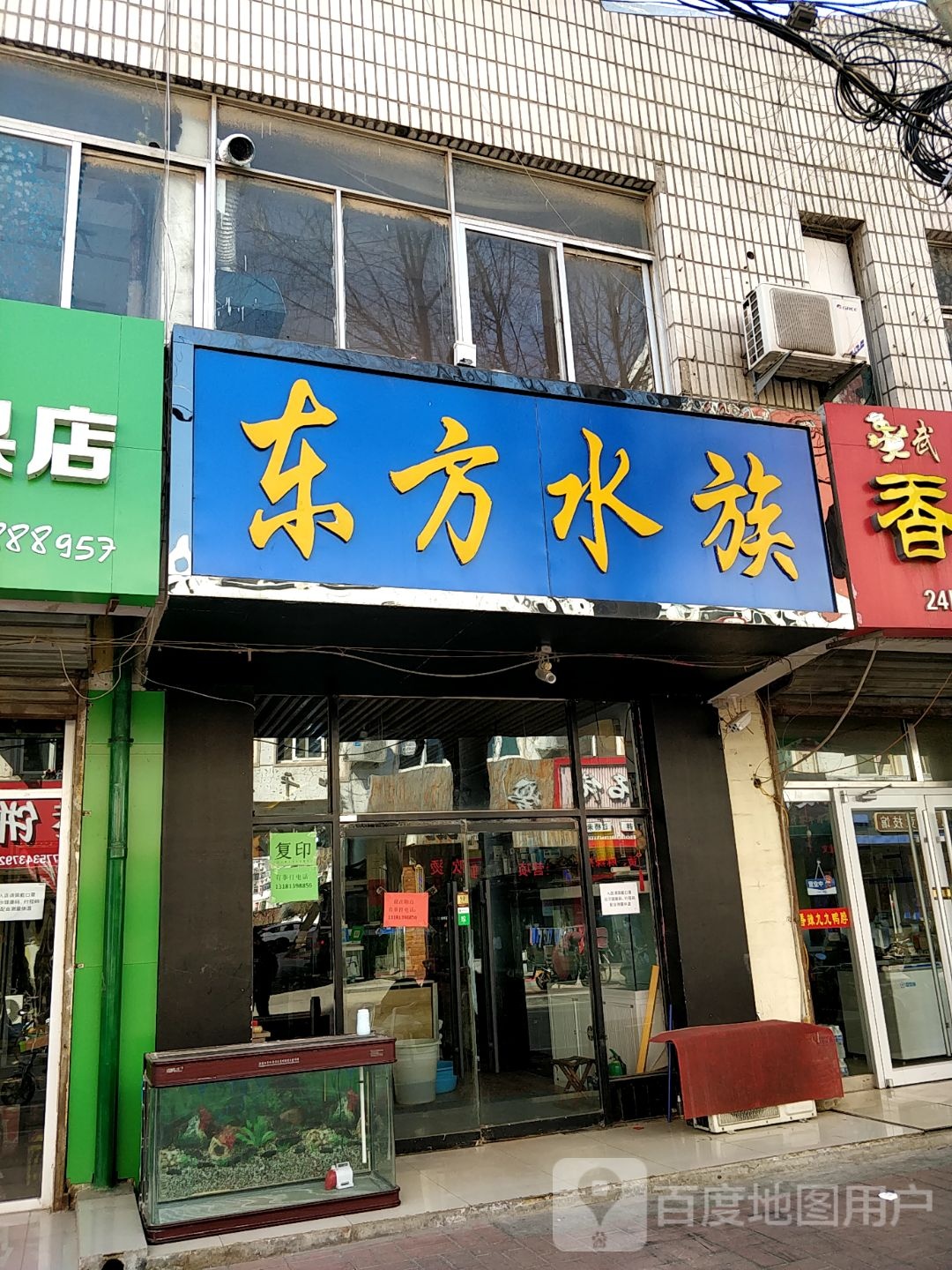 东风水族(和平街店)