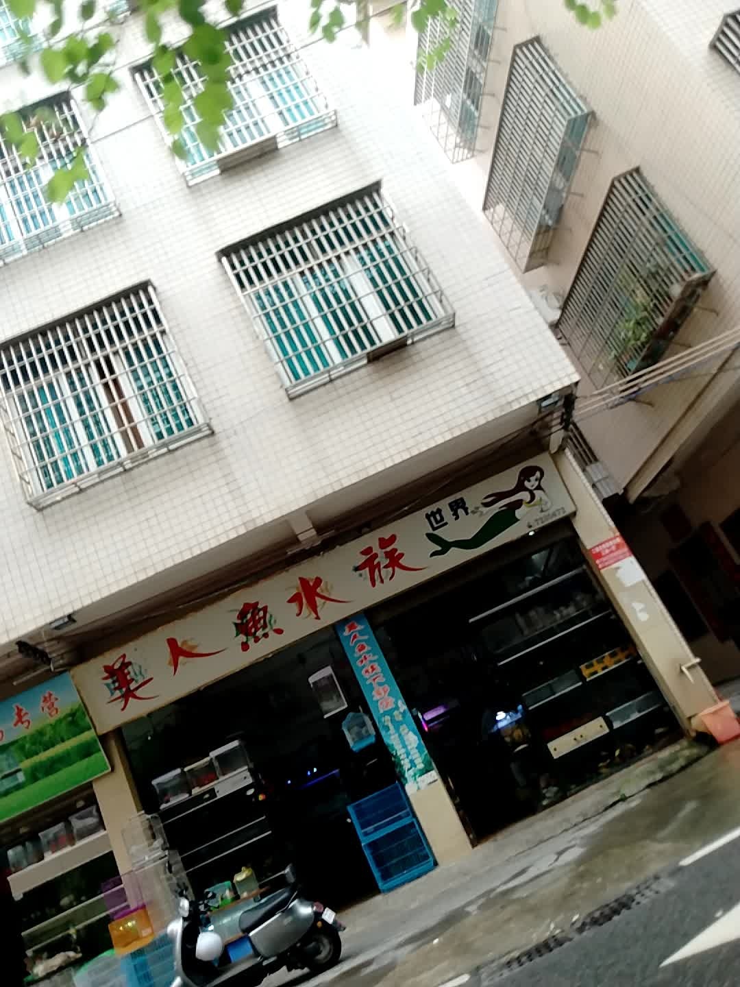 美人鱼水族花鸟专营