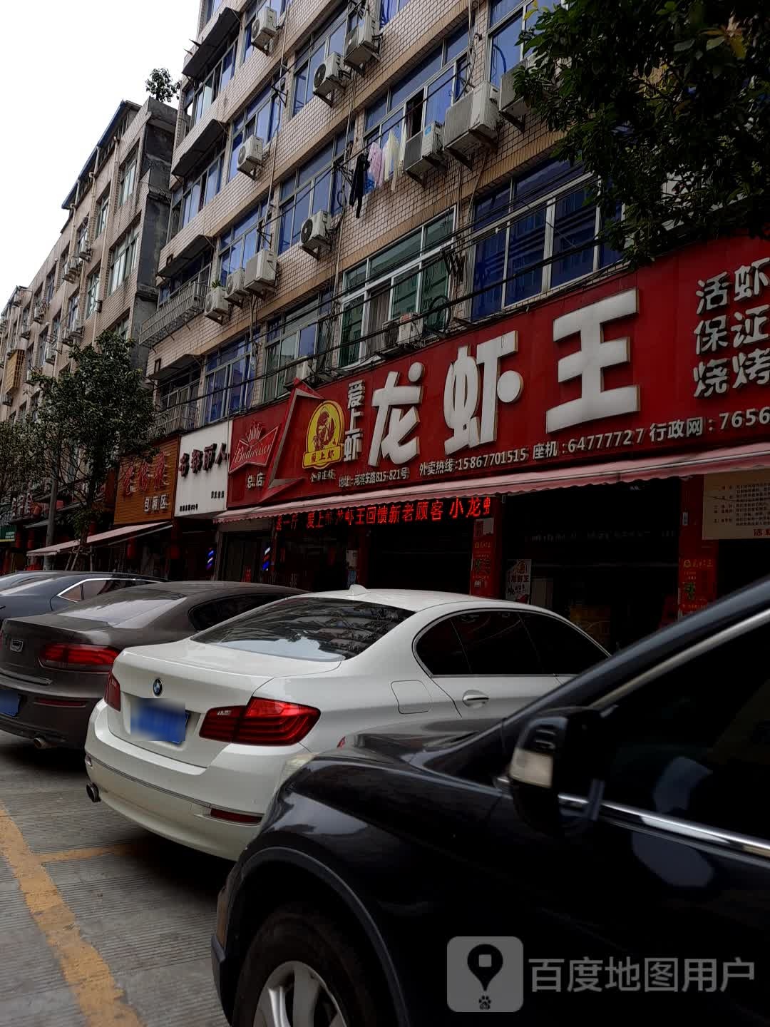 名都丽人没发造型