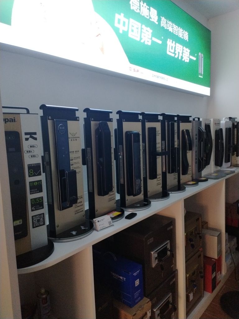 德施曼智能锁(欧江路店)