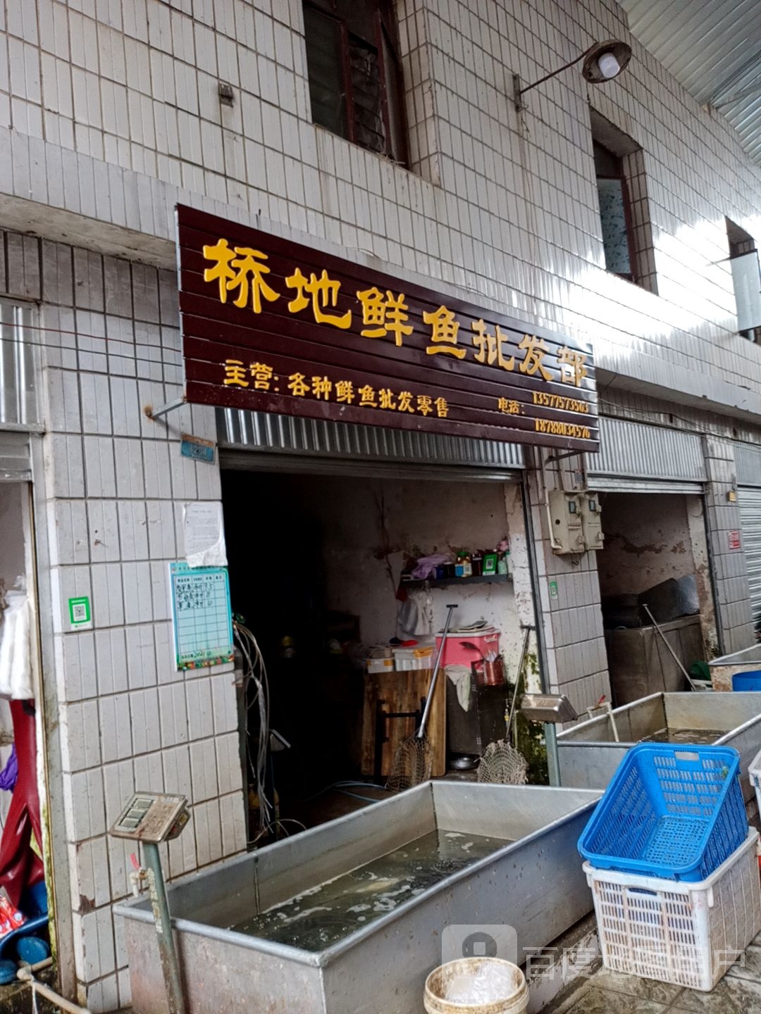 桥地鱼市批发部