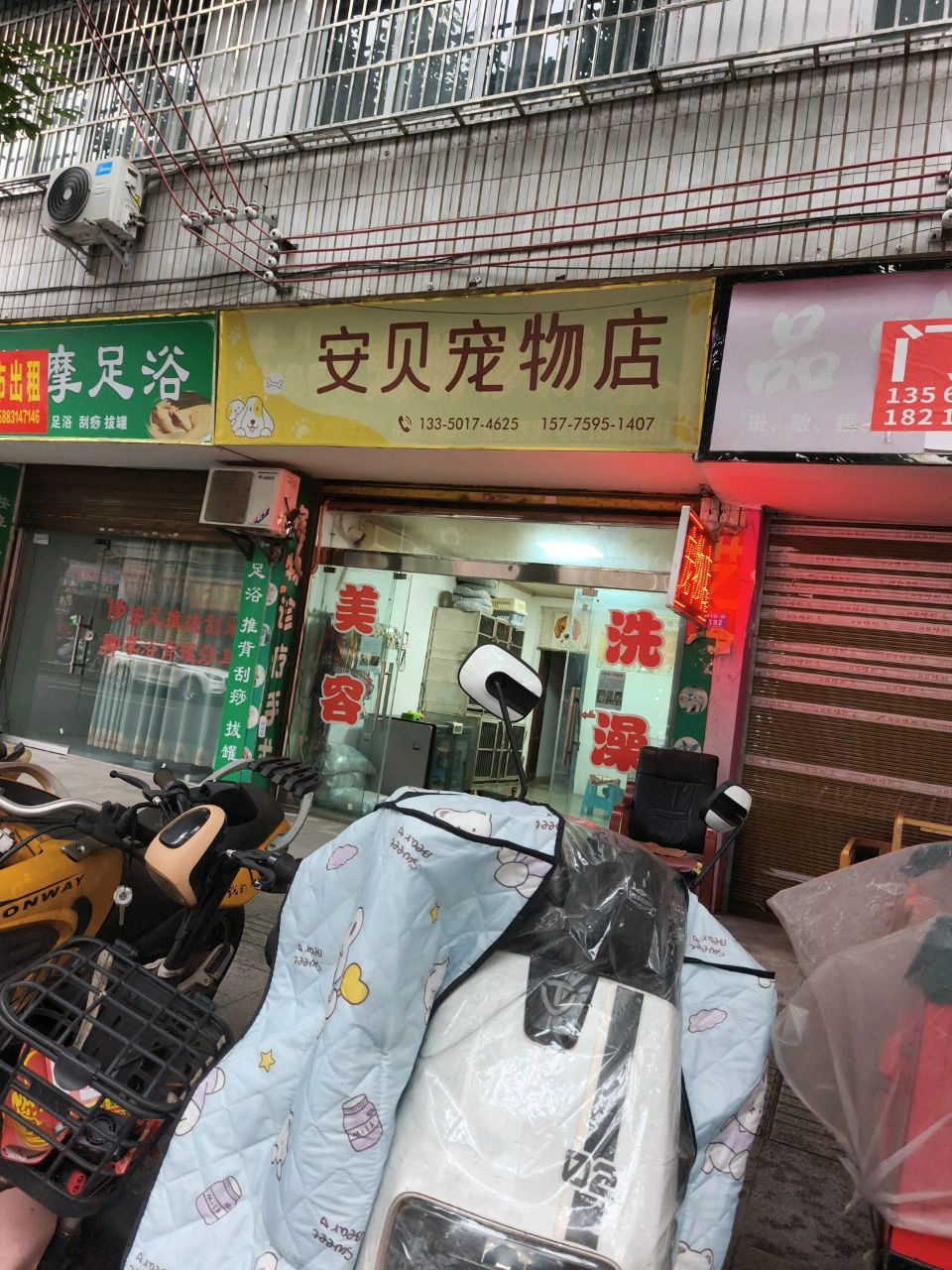 安贝宠物诊所(青年路一段店)