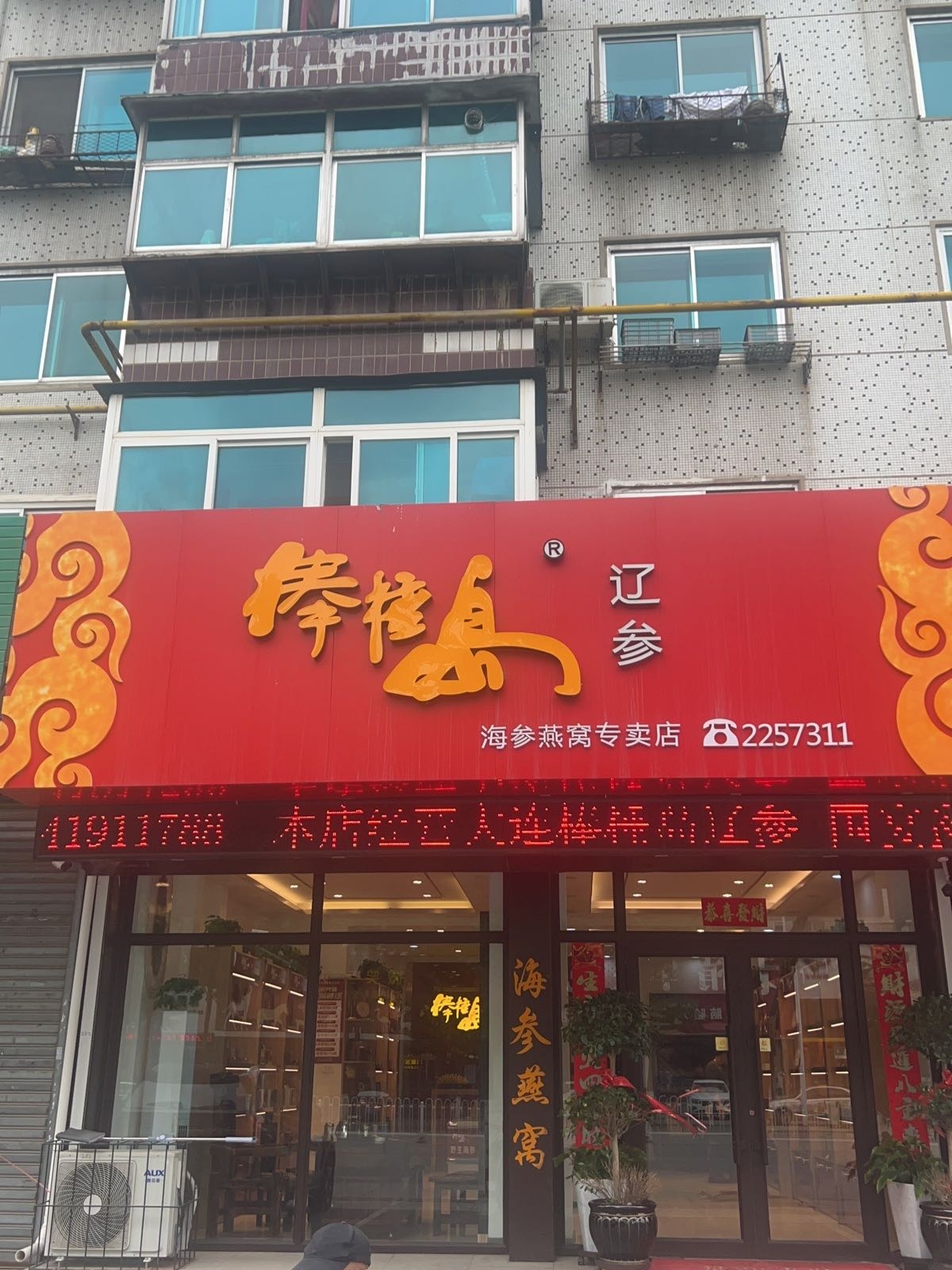 棒棰岛辽参