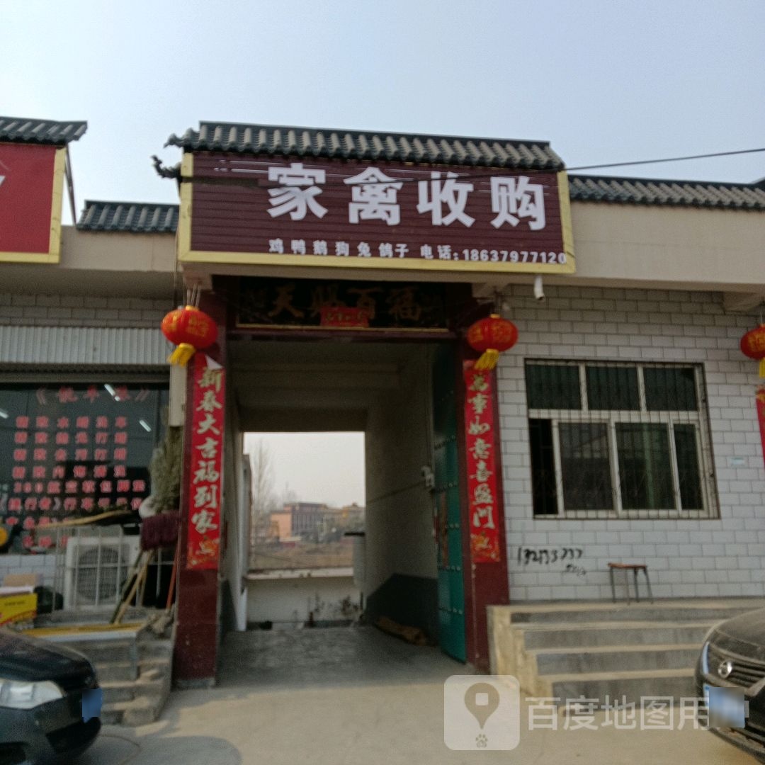 家禽收购