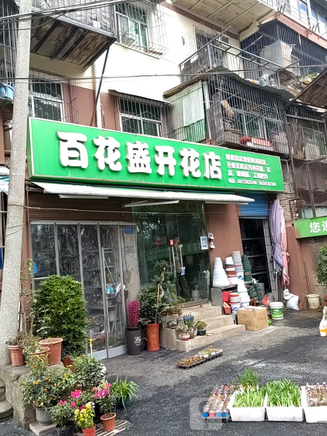 百花盛开花店