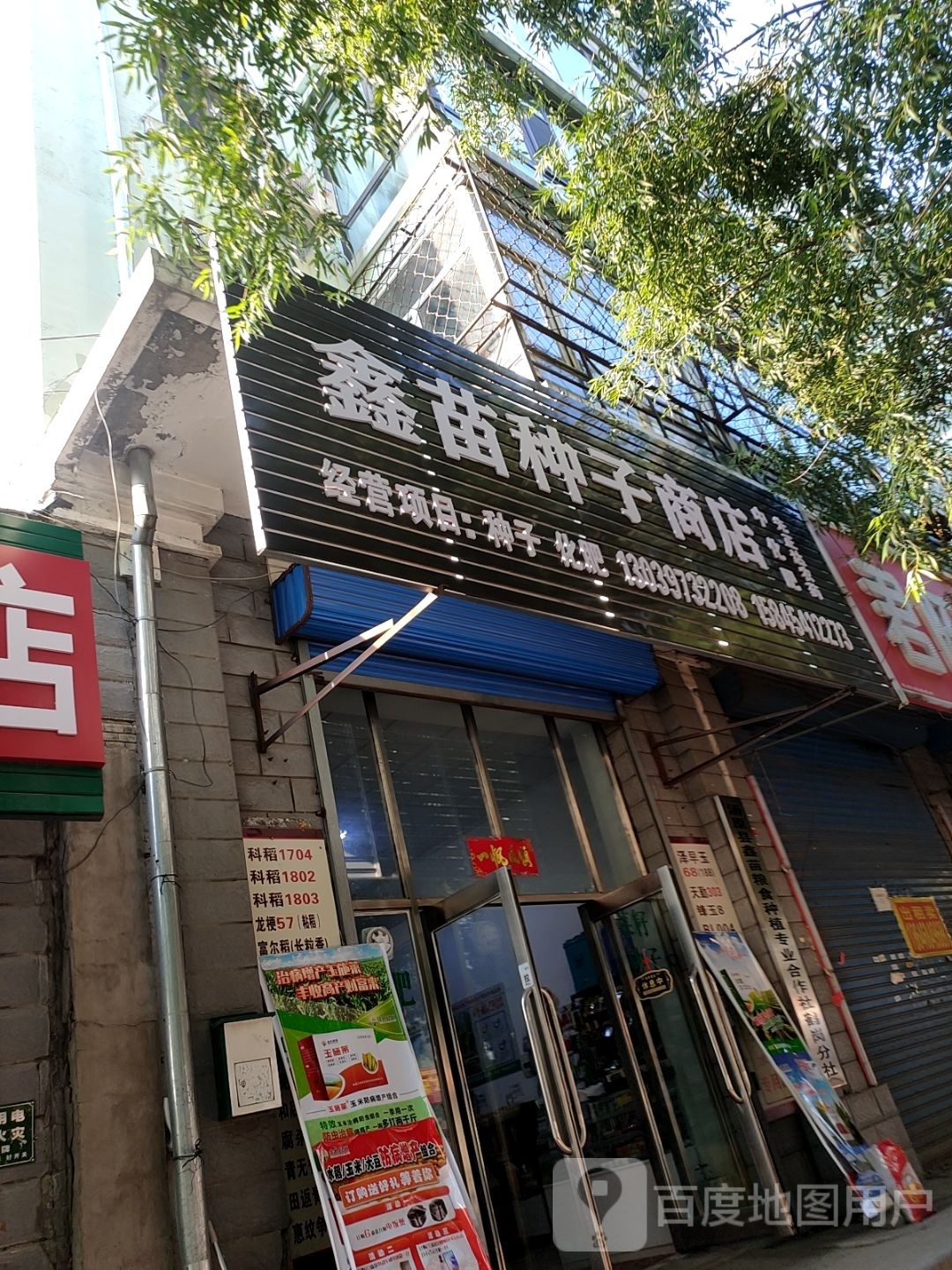 鑫苗种子商店