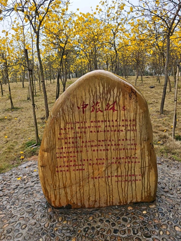 珠海斗门小濠冲中旅林