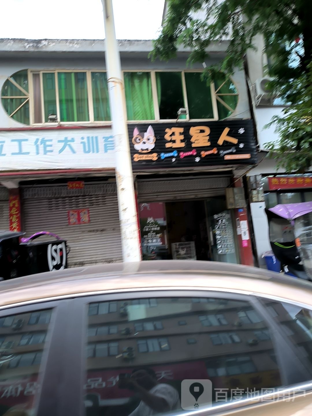 汪星人宠物店(平安路店)