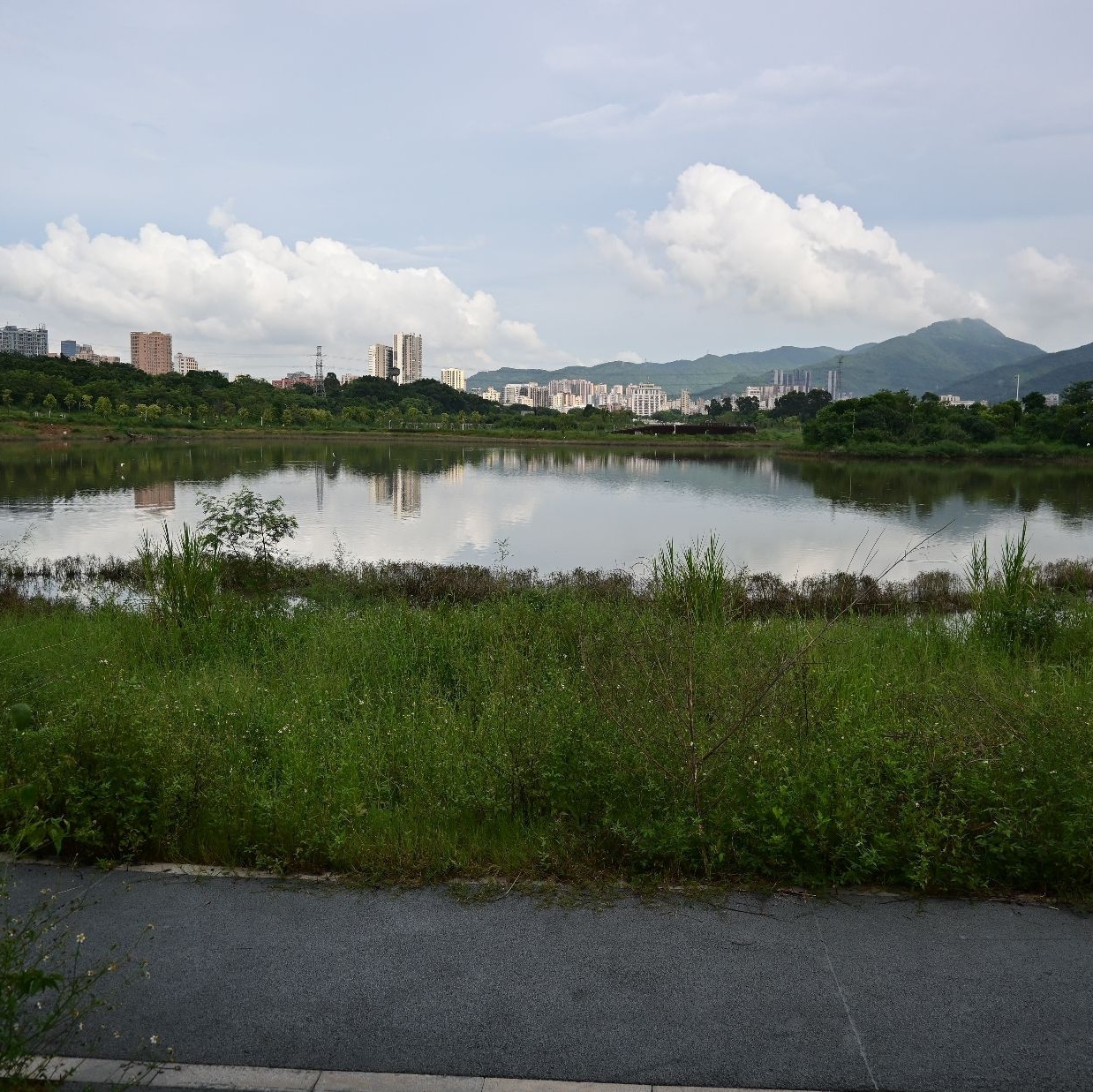 石岩湖环湖绿道