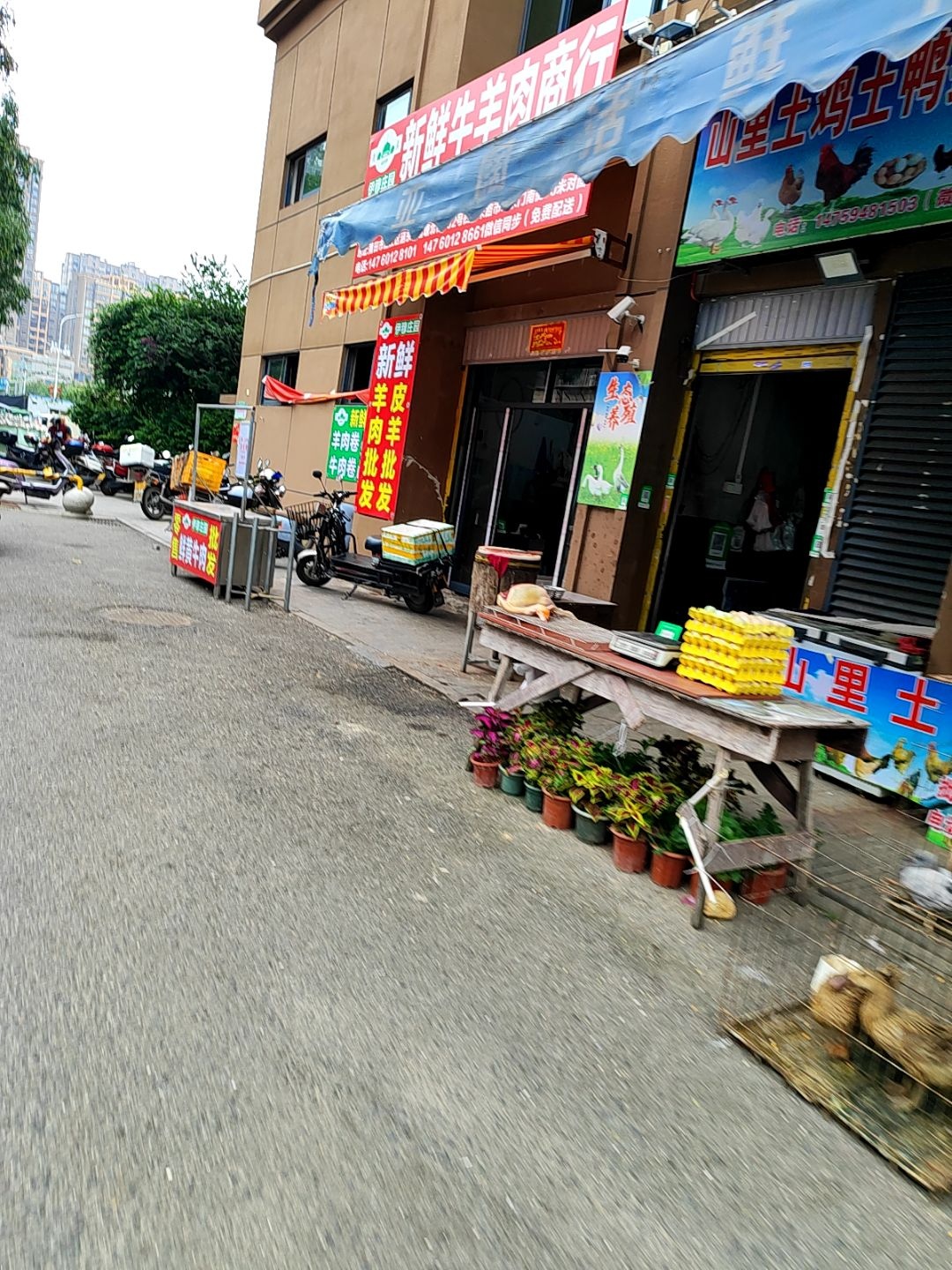 清真伊穆庄园新鲜牛羊肉商行