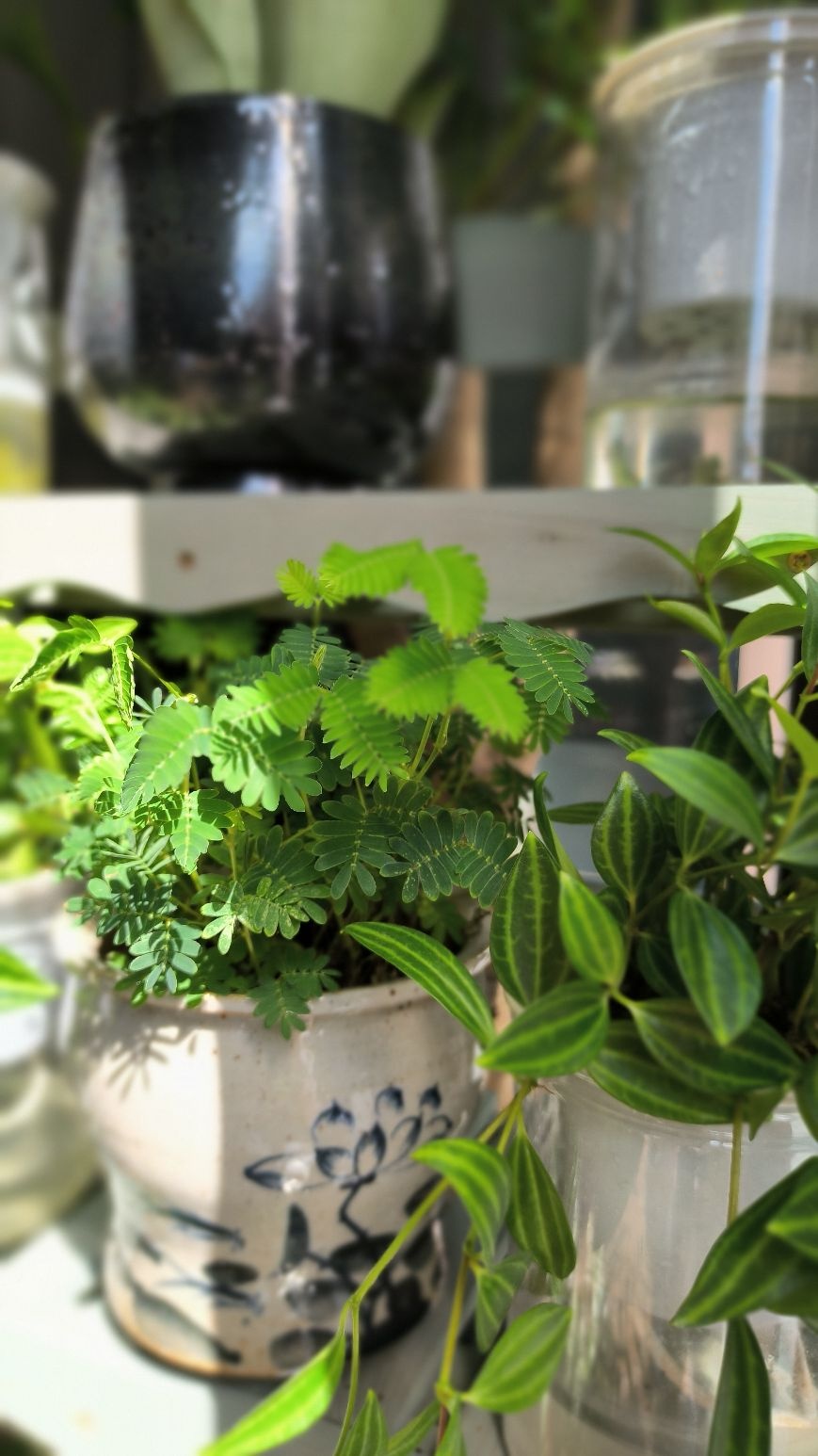 花喵匠花店