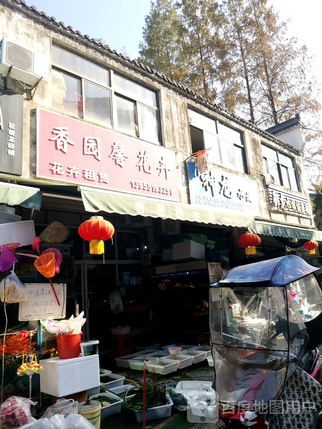 神龙水族(屯溪路辅路店)