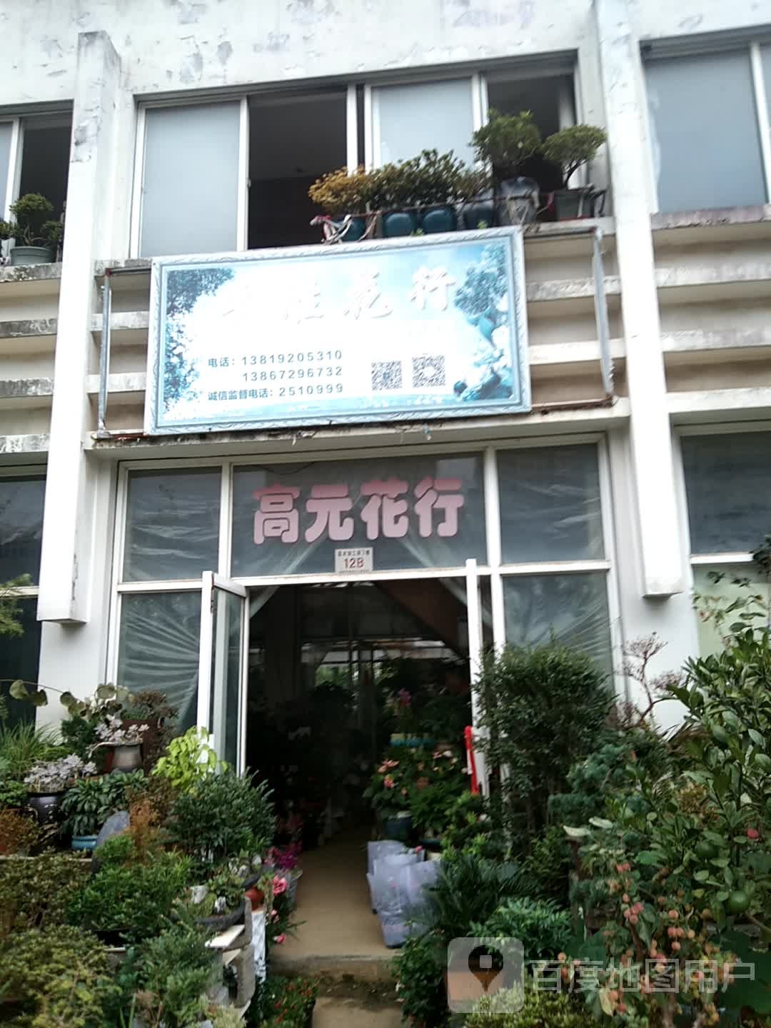 辉苑花行