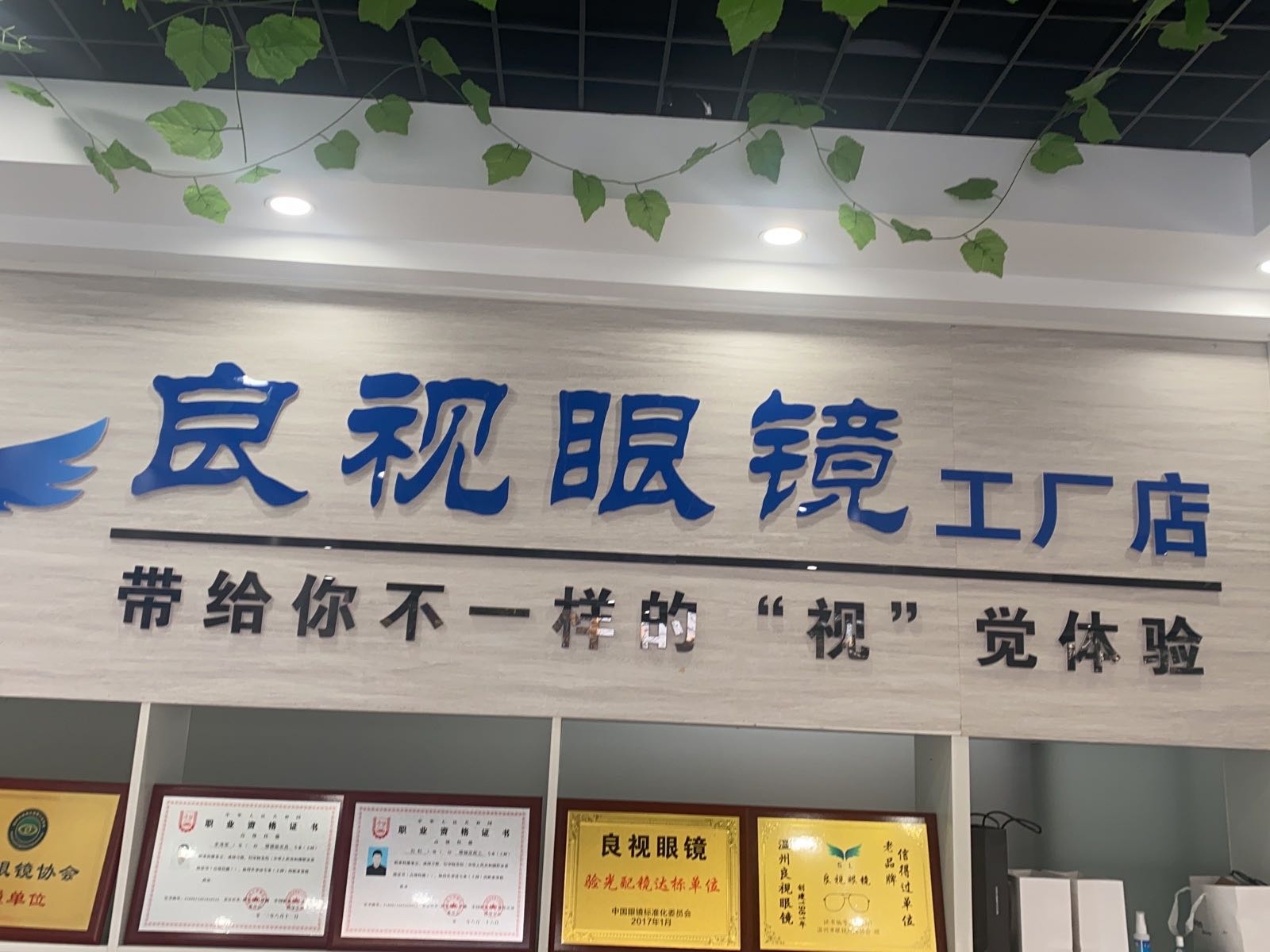 视蛉良虽眼镜