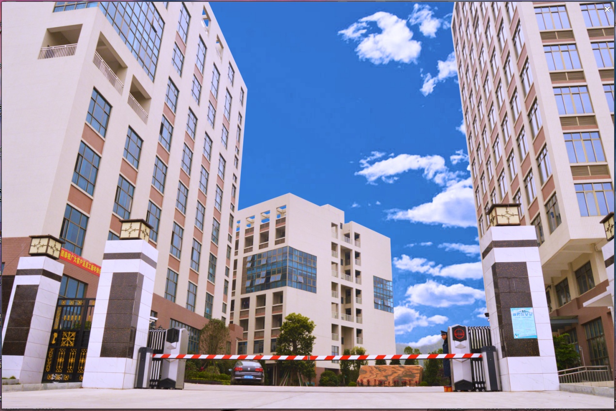 深圳市乐福衡器有限公司