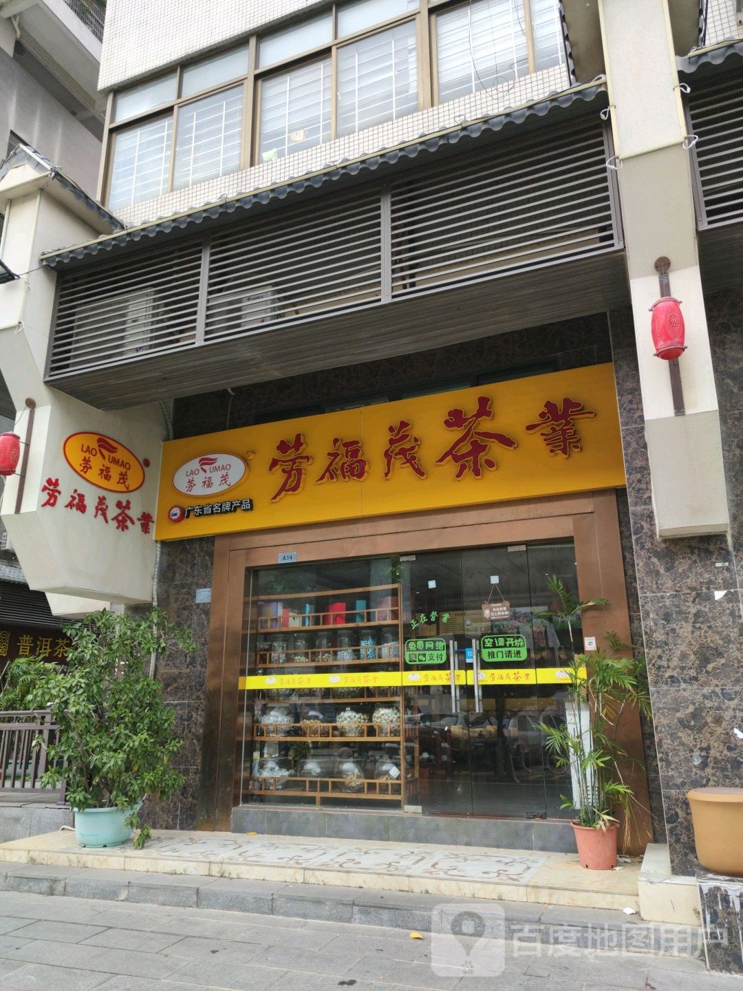 劳福茂茶业(湛江市科技企业孵化器大楼店)
