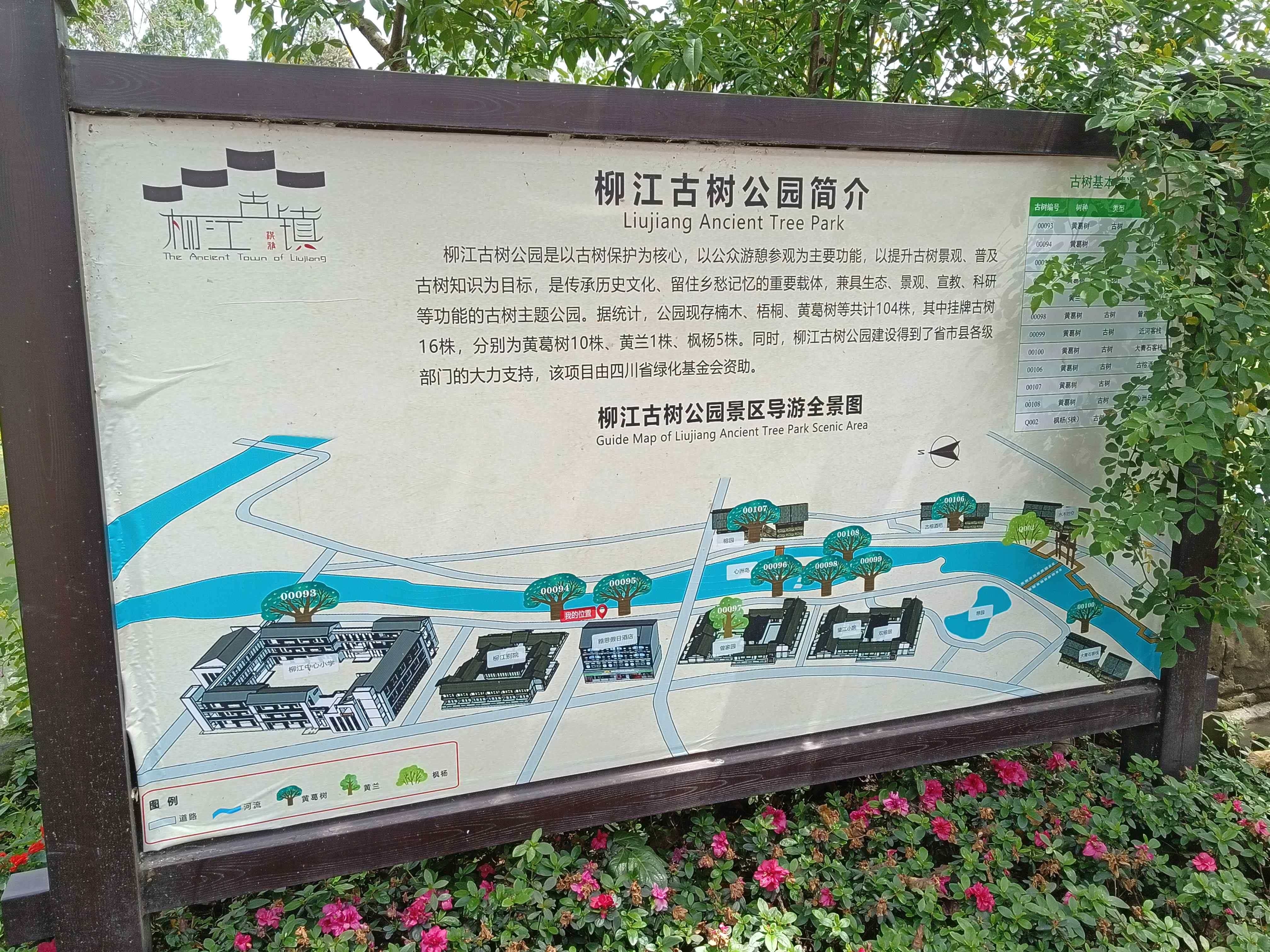 柳江古树公园