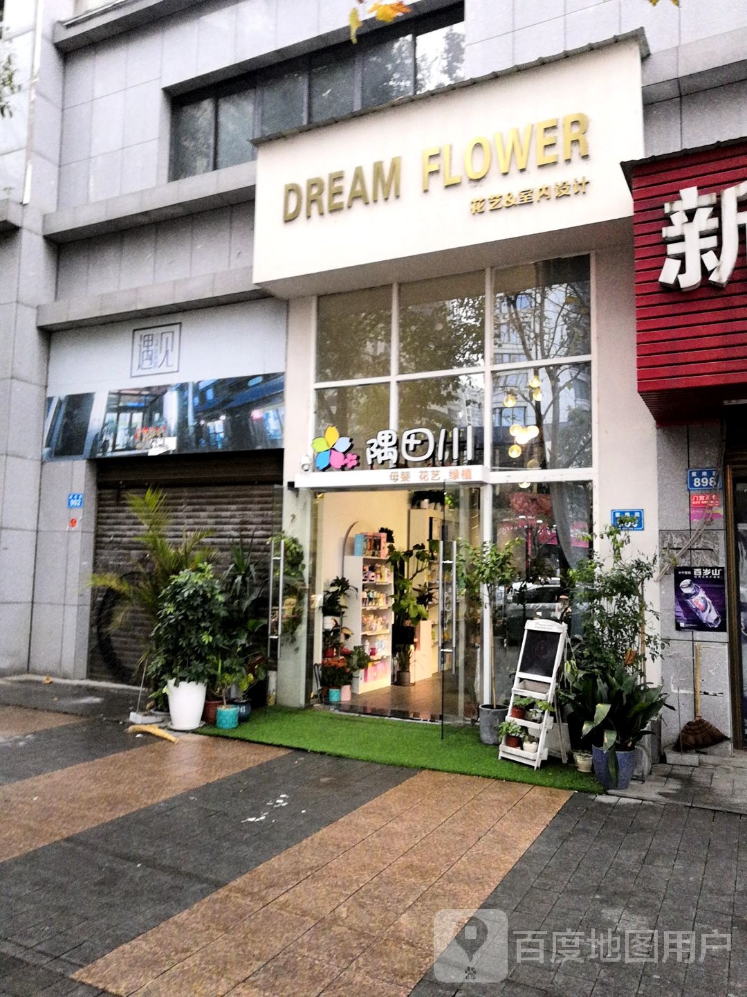 DREAM FLOWER