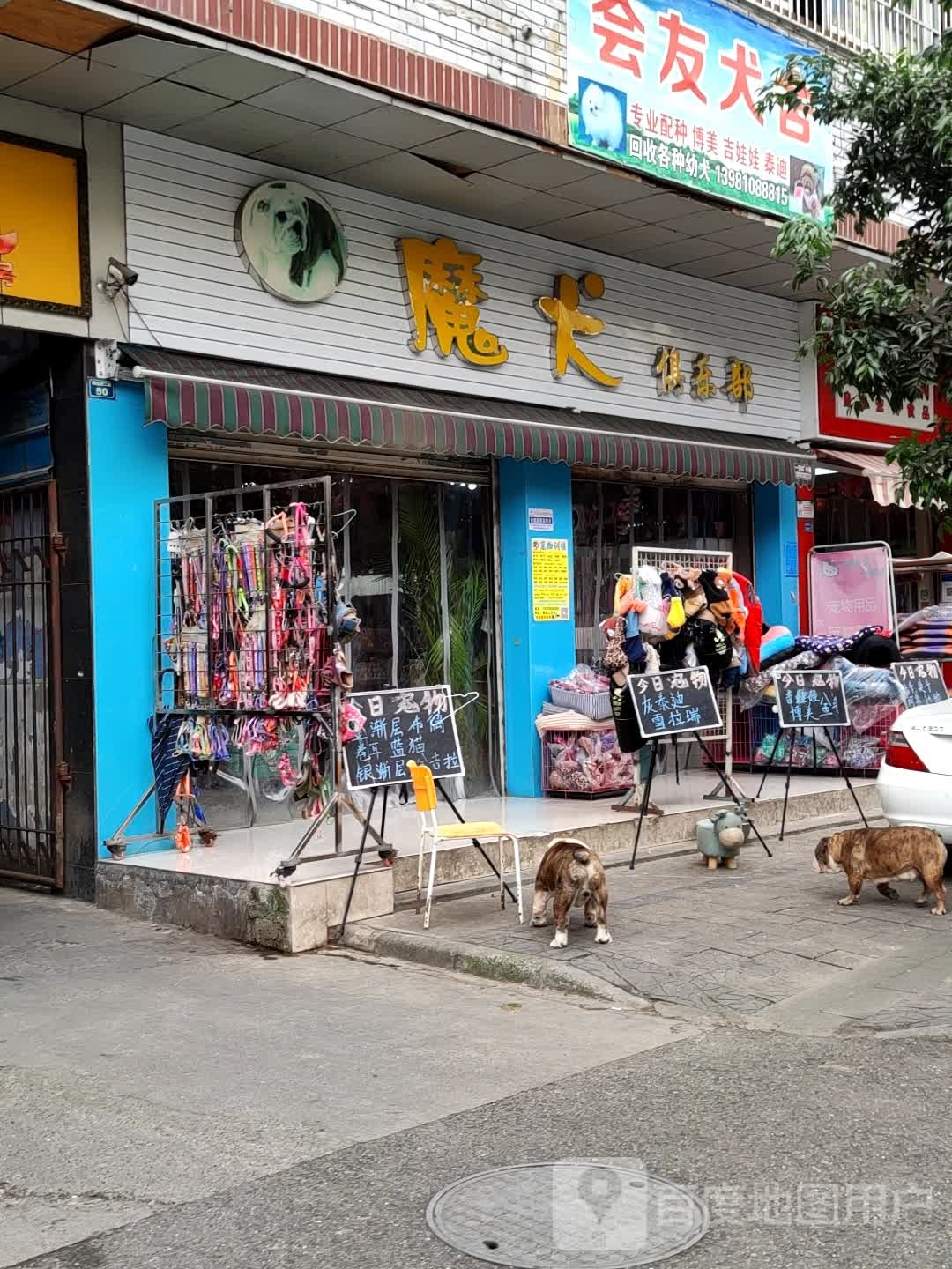 会友犬舍(绵远街店)