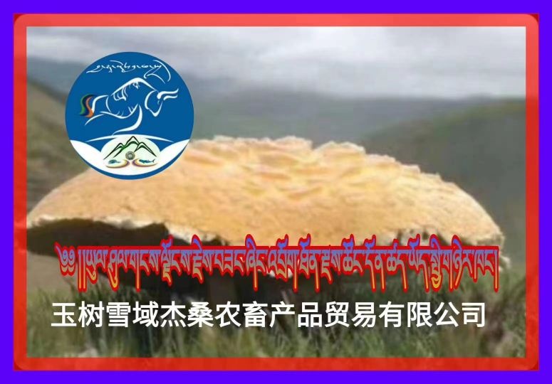玉树雪域杰桑农畜产品贸易有限公司