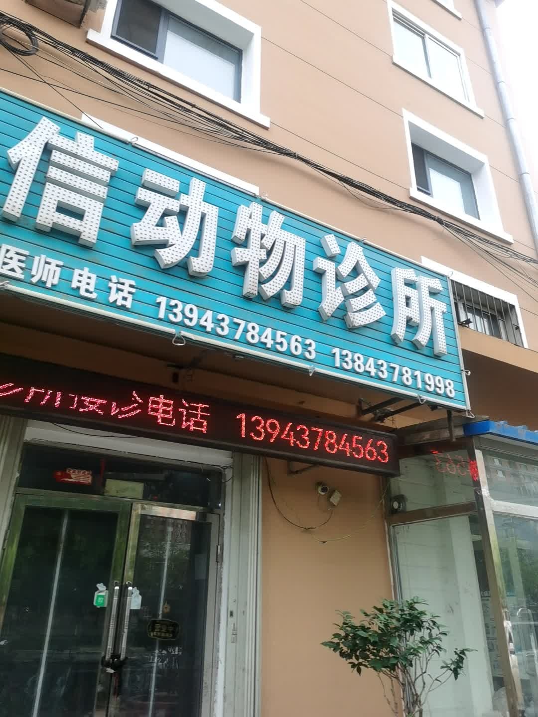 和信动物诊所