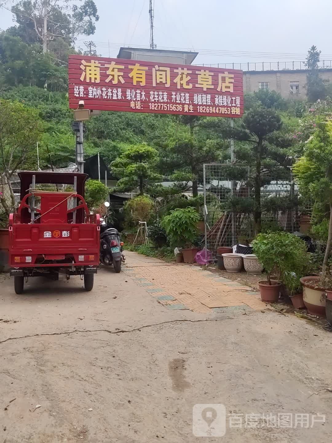浦东有间花草店