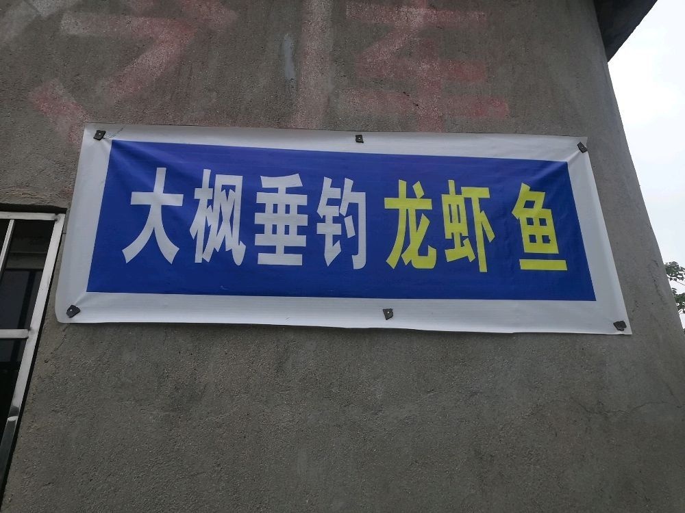 大枫垂钓小龙鱼