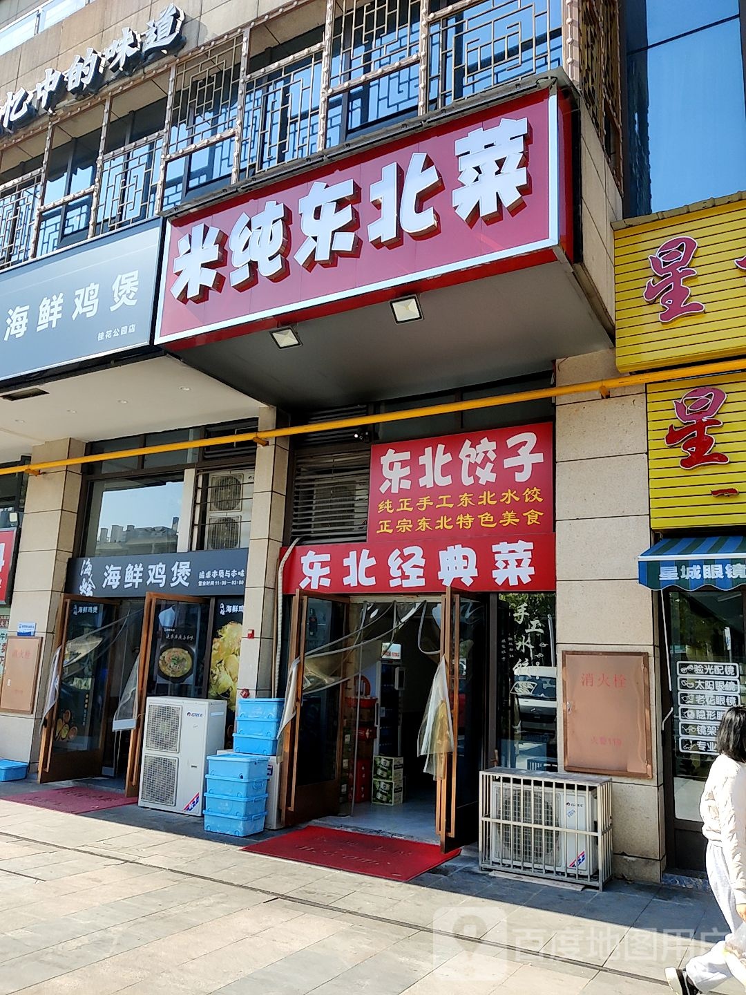 东北金典菜