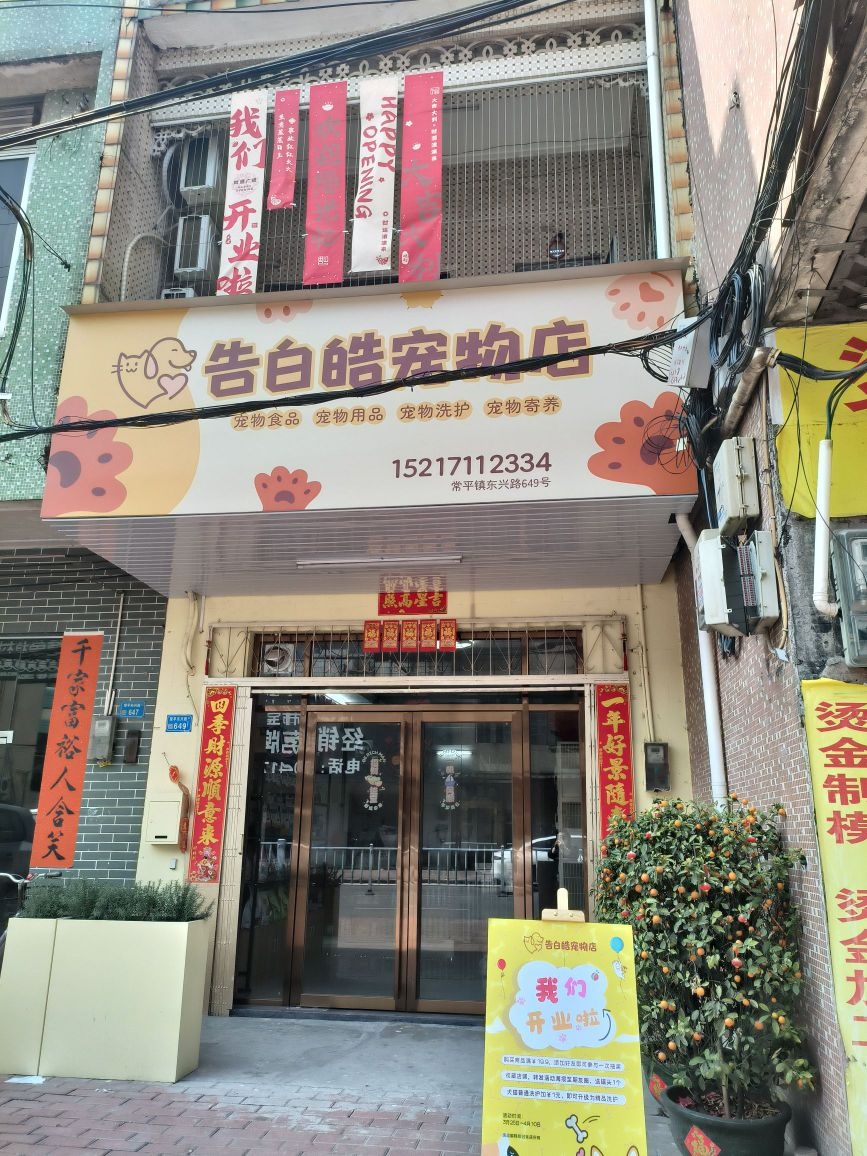 告白皓宠物店