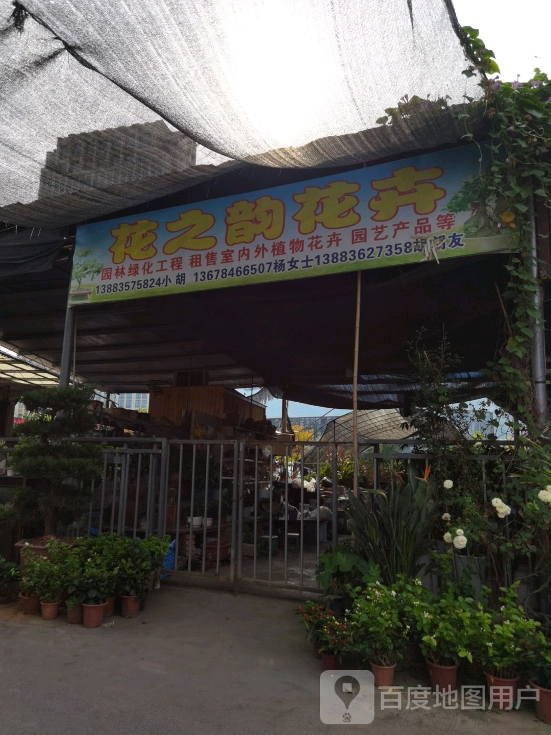 北碚区花之韵花鸟店