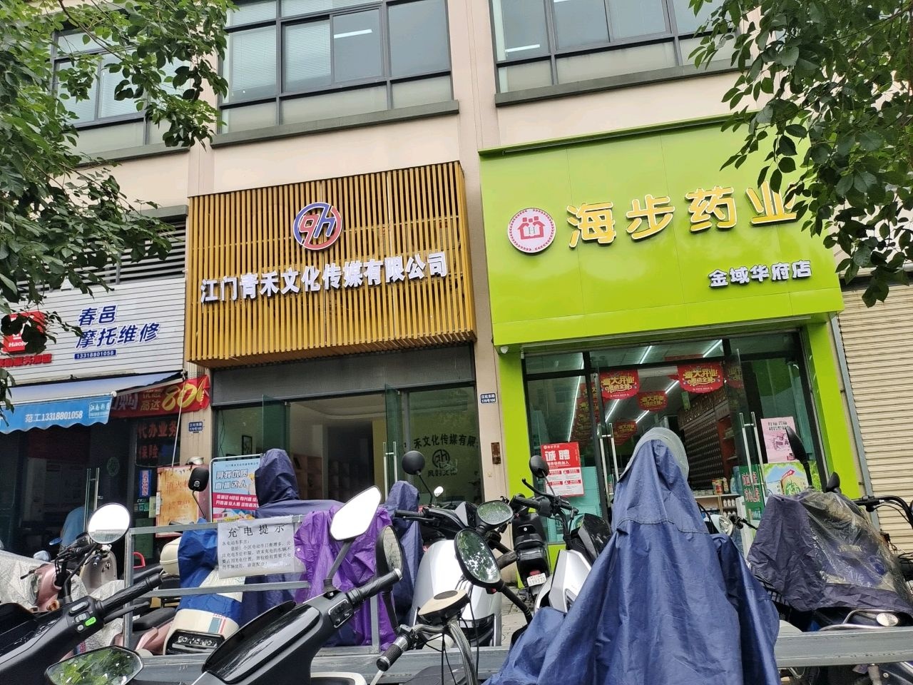 江门青禾文化传媒有限公司