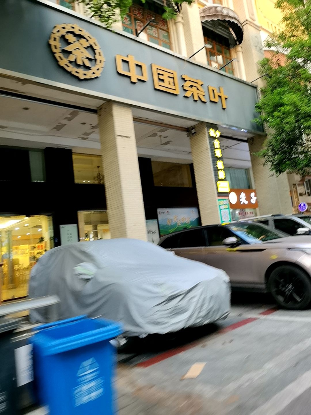 中国茶叶(丽日店)