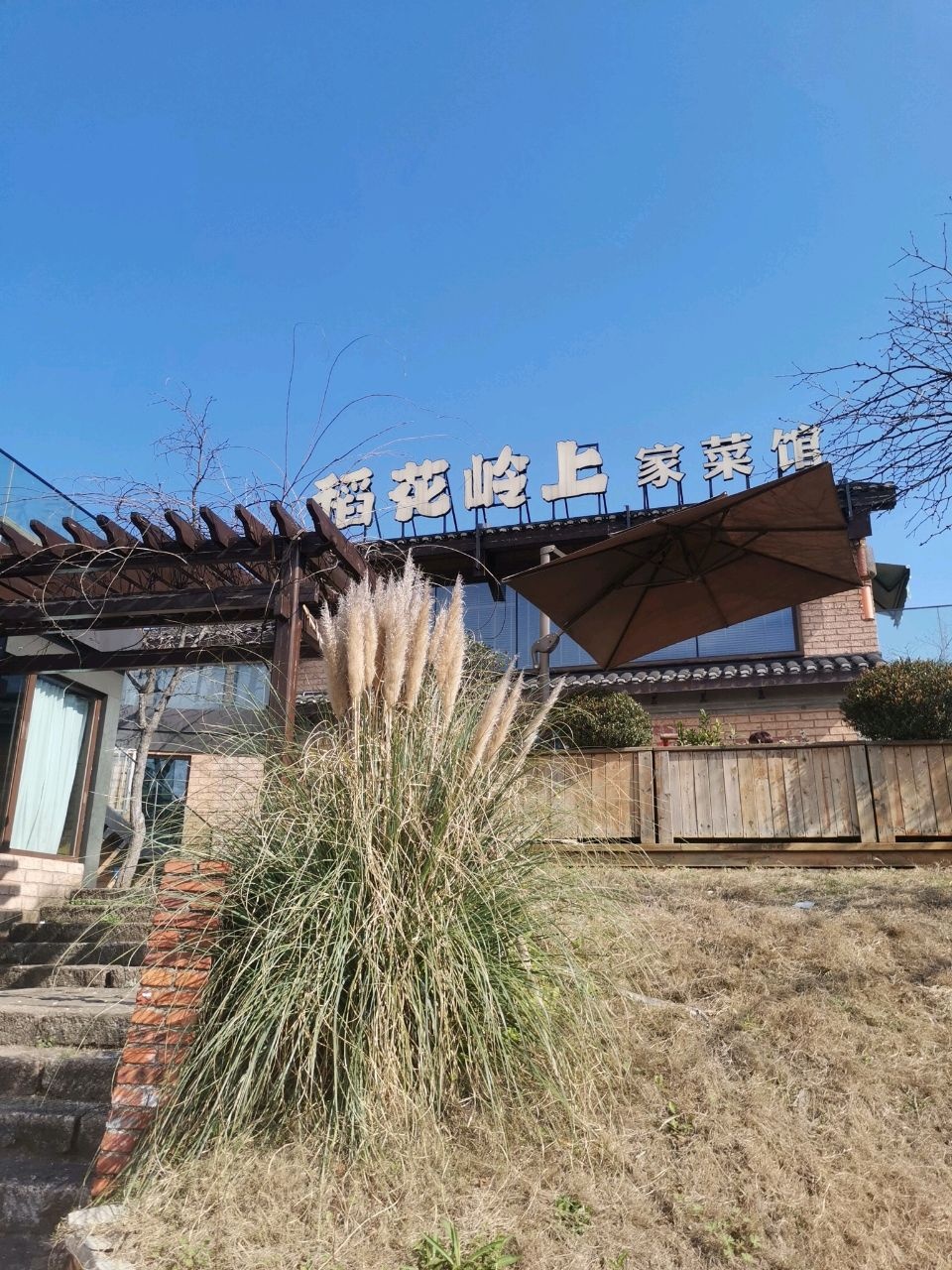 稻花岭上家菜馆环境