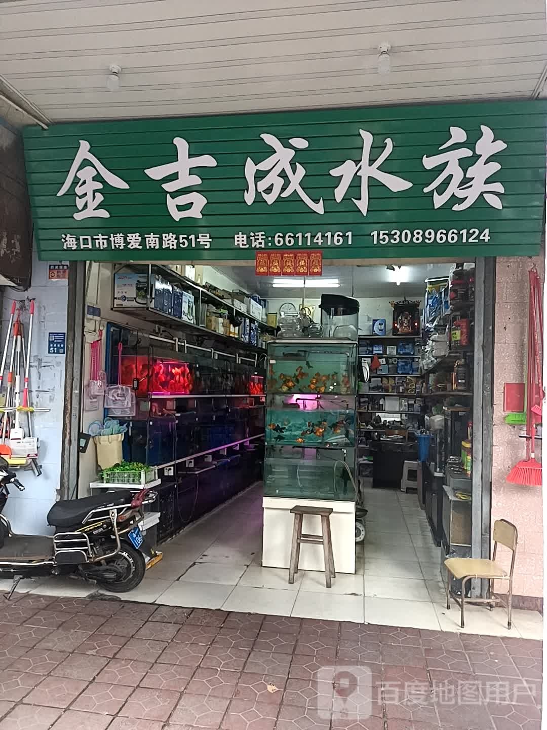 金吉成水族