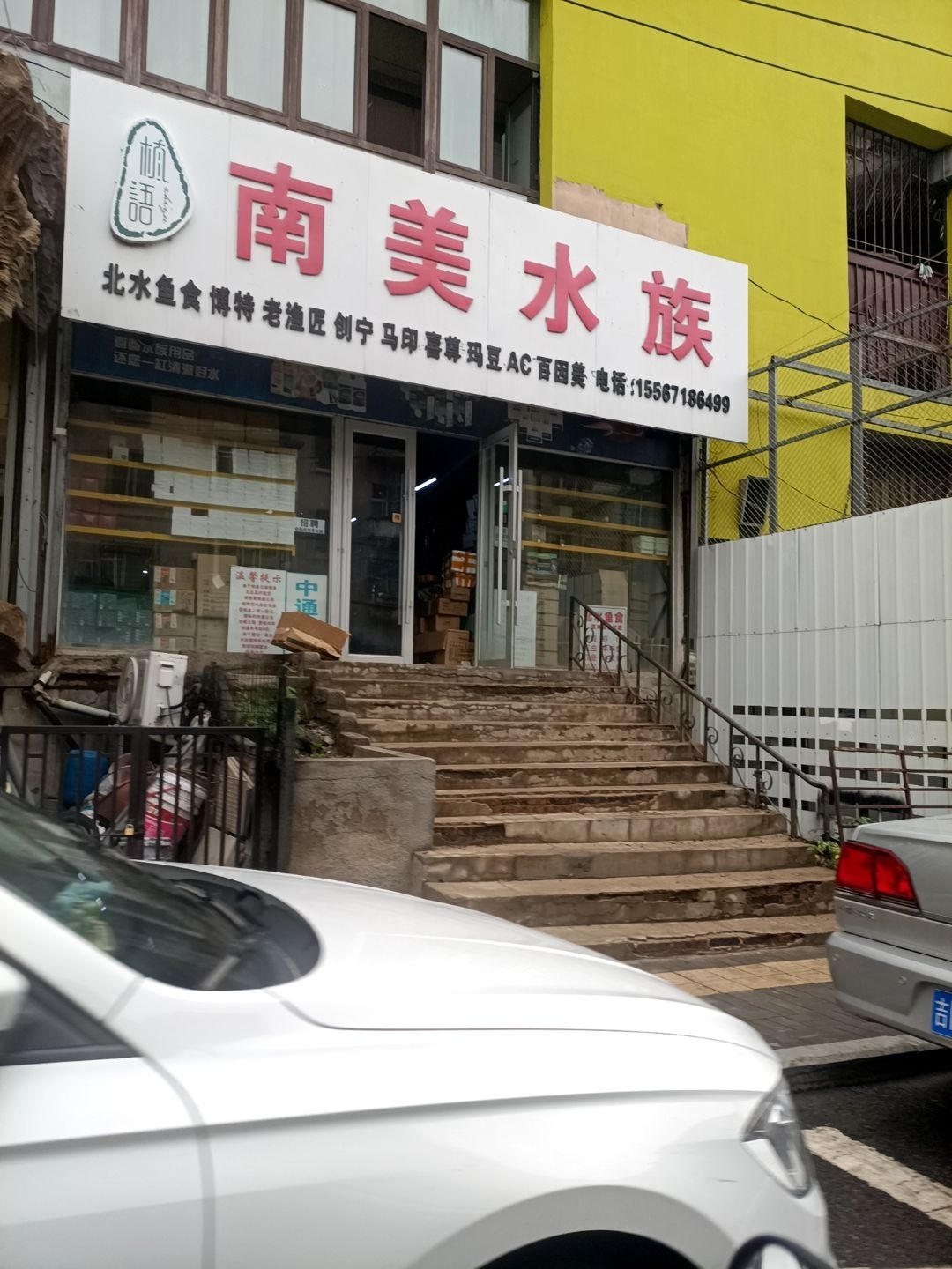 南美水族