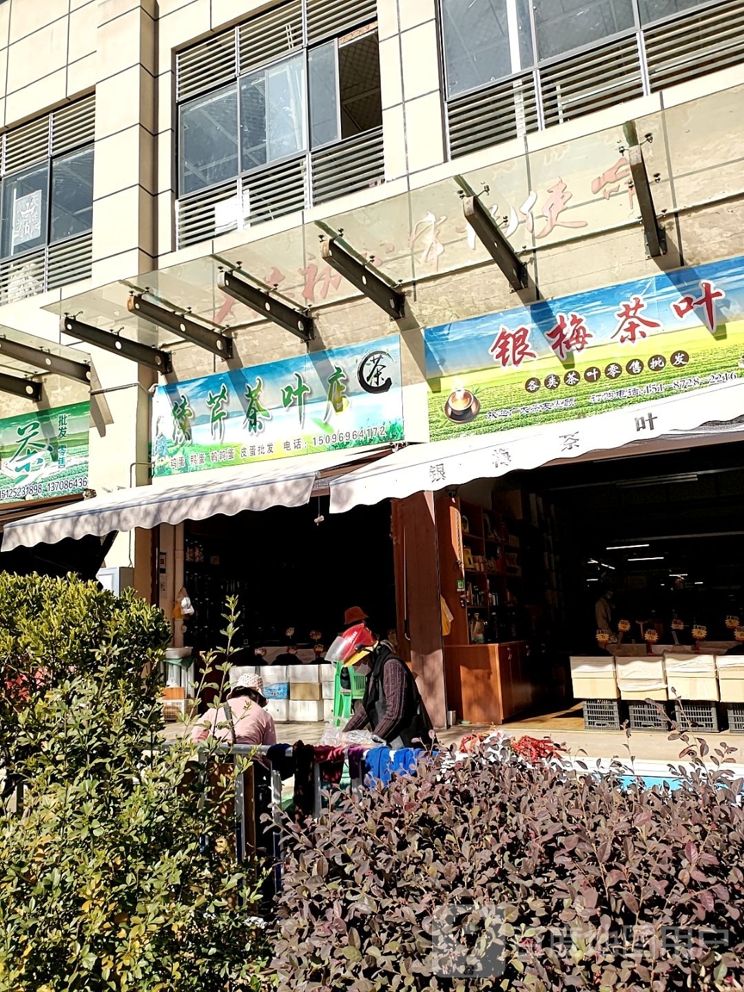 續芹茶葉店