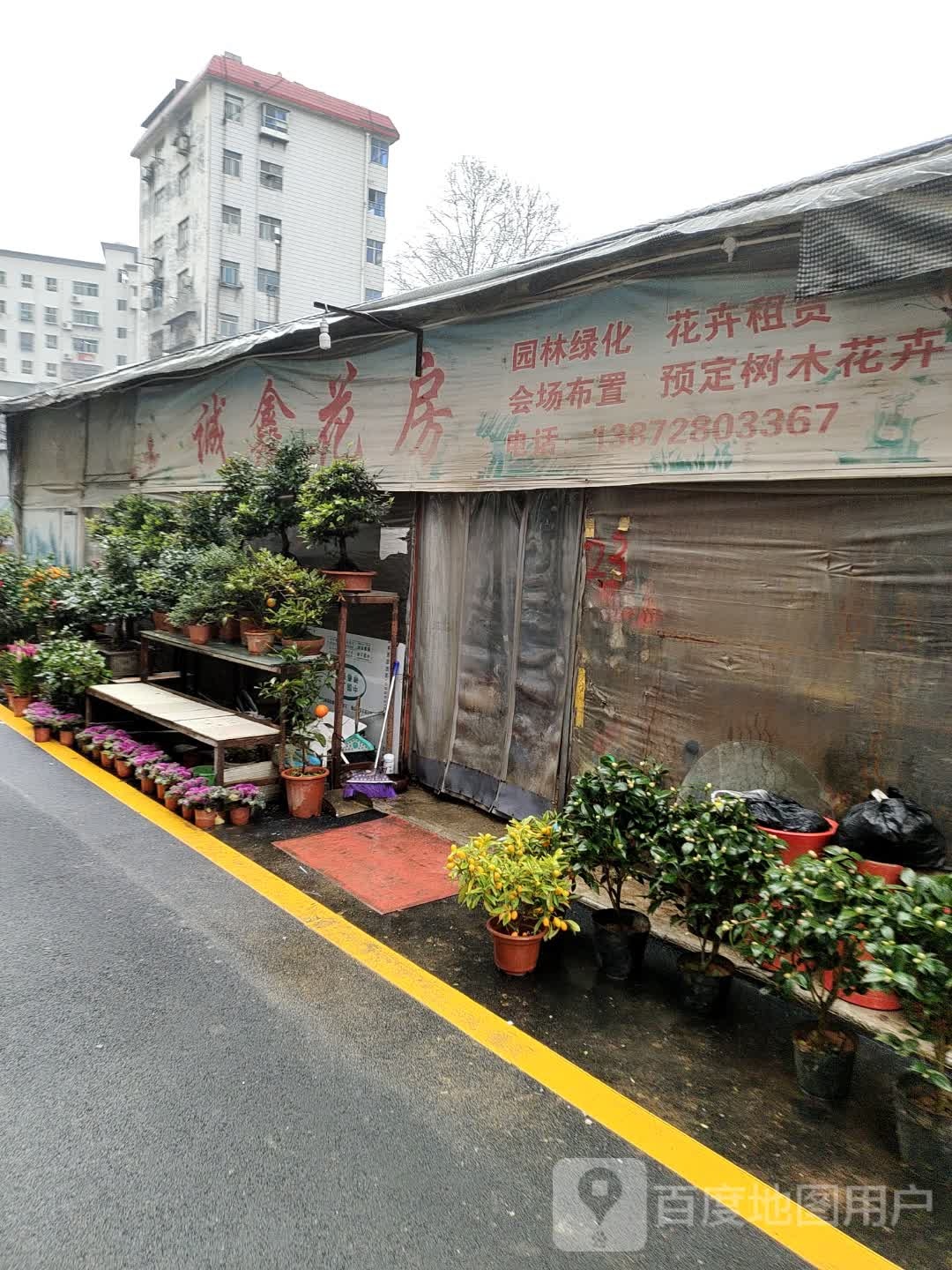 诚鑫花房