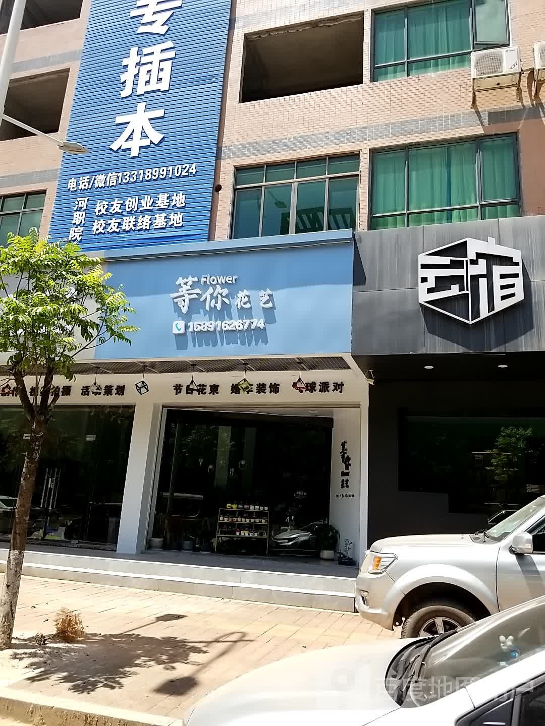 等你Flower花一