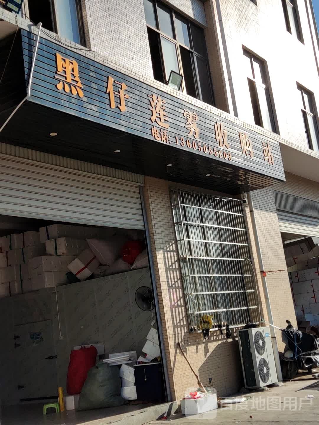 黑仔莲雾收购站