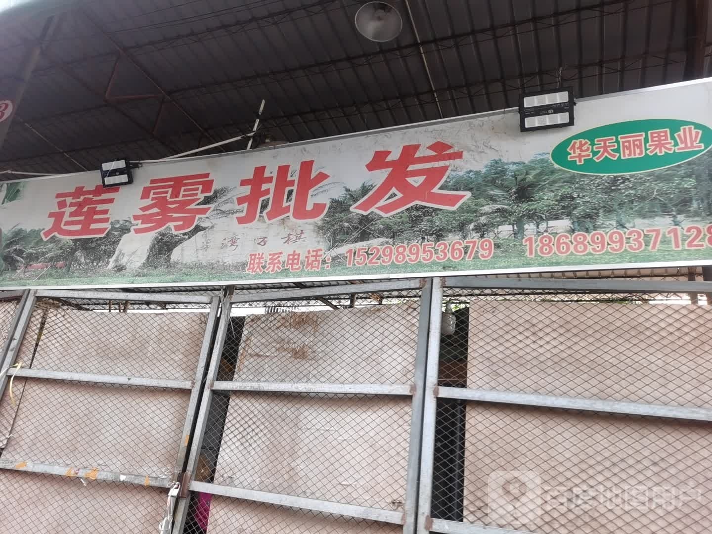 莲雾批发