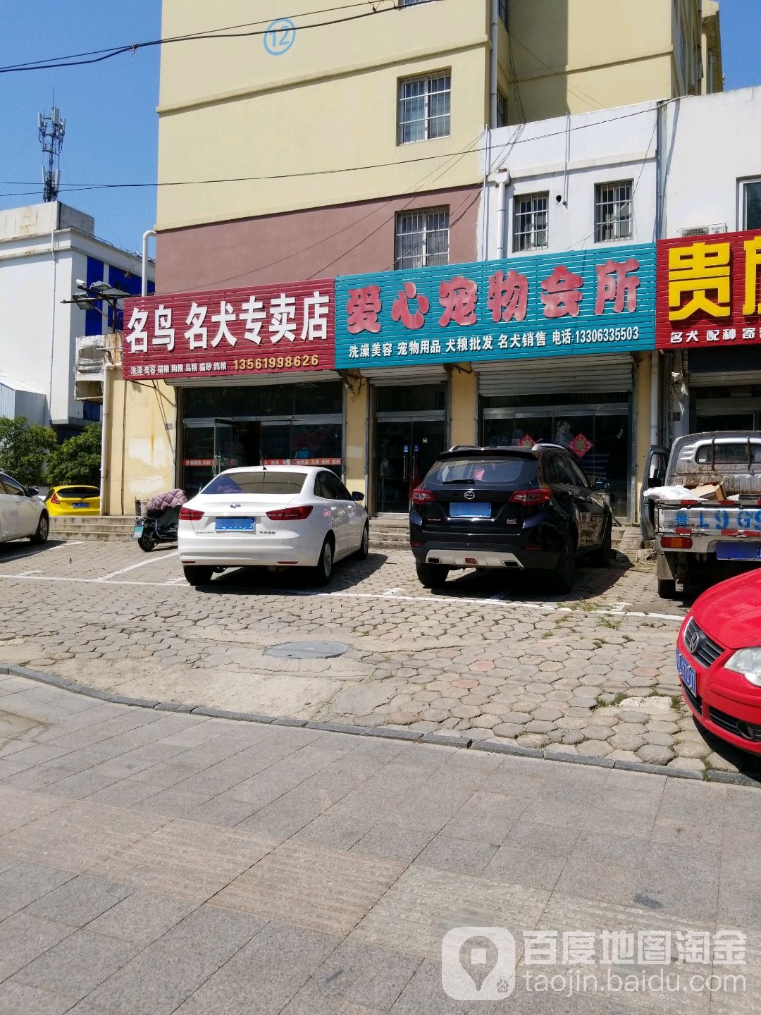 爱心宠物会所(公园路店)