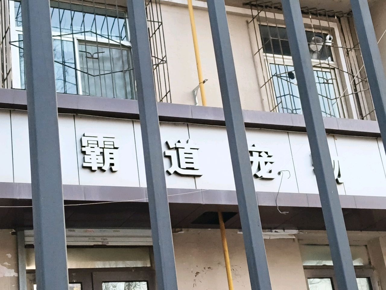 霸道宠物(双塔西街店)