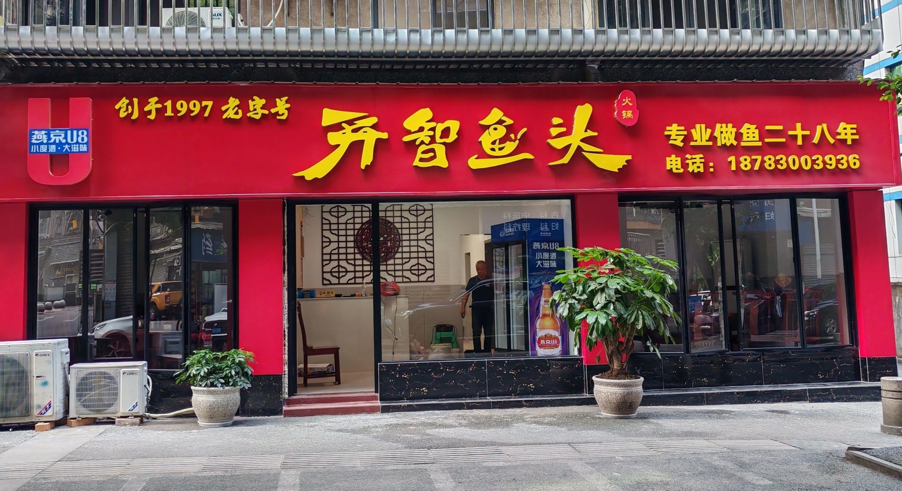 智鱼头