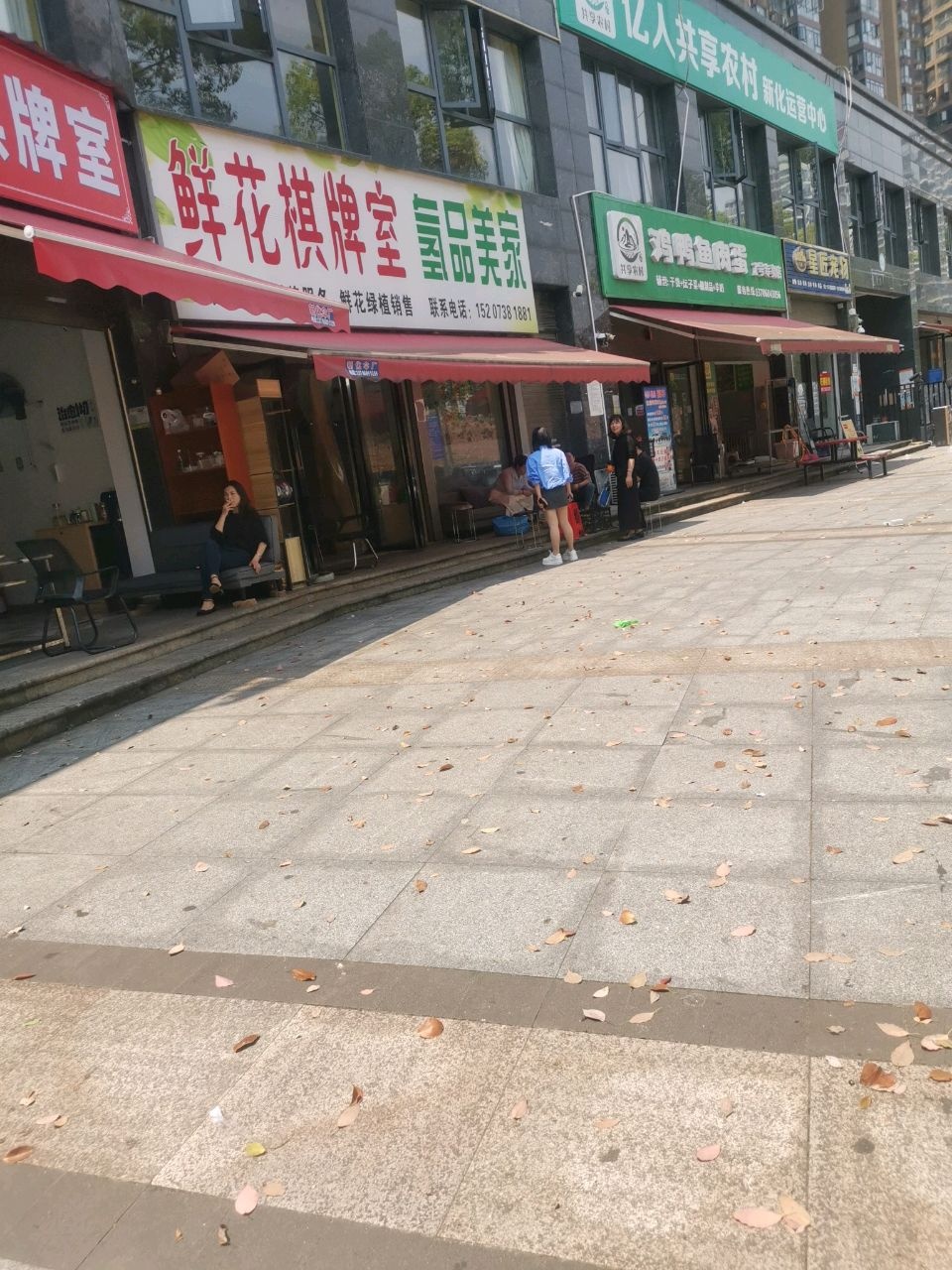 星匠宠物