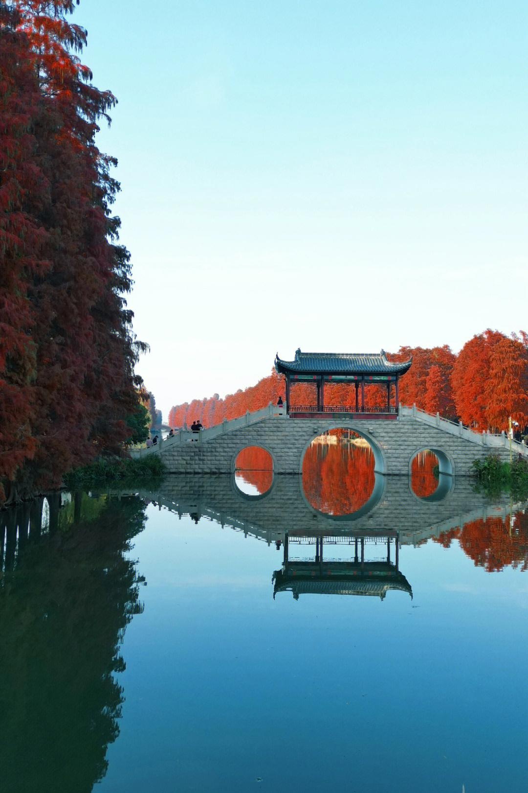 李中水上森林公园