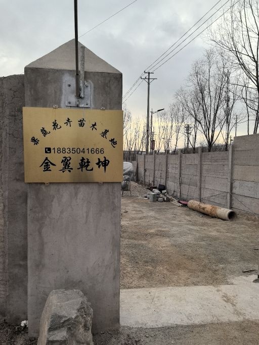 金翼乾坤果蔬花卉苗木基地