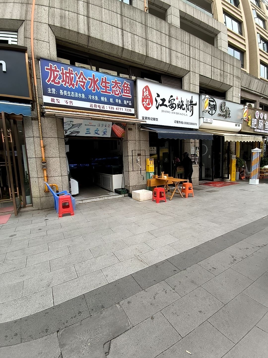 龙城冷水生态鱼(泷门店)