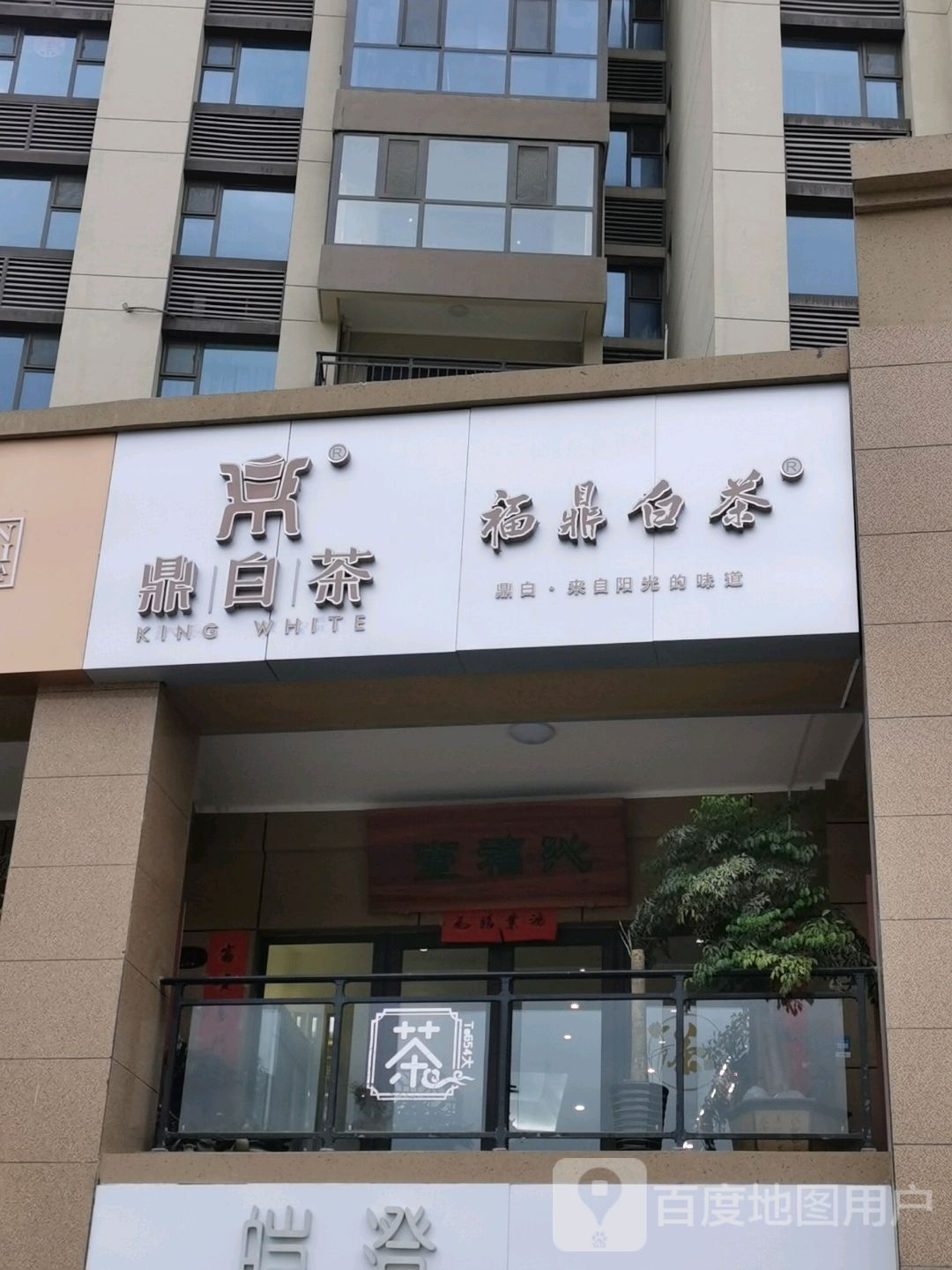 正山堂骏眉中国鼎白茶福鼎白茶